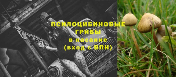 бошки Зеленокумск