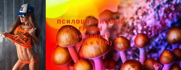 мдпв Зеленодольск