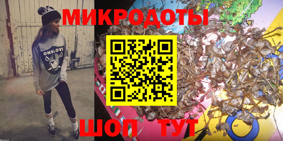 Галлюциногенные грибы Psilocybine cubensis Камень-на-Оби