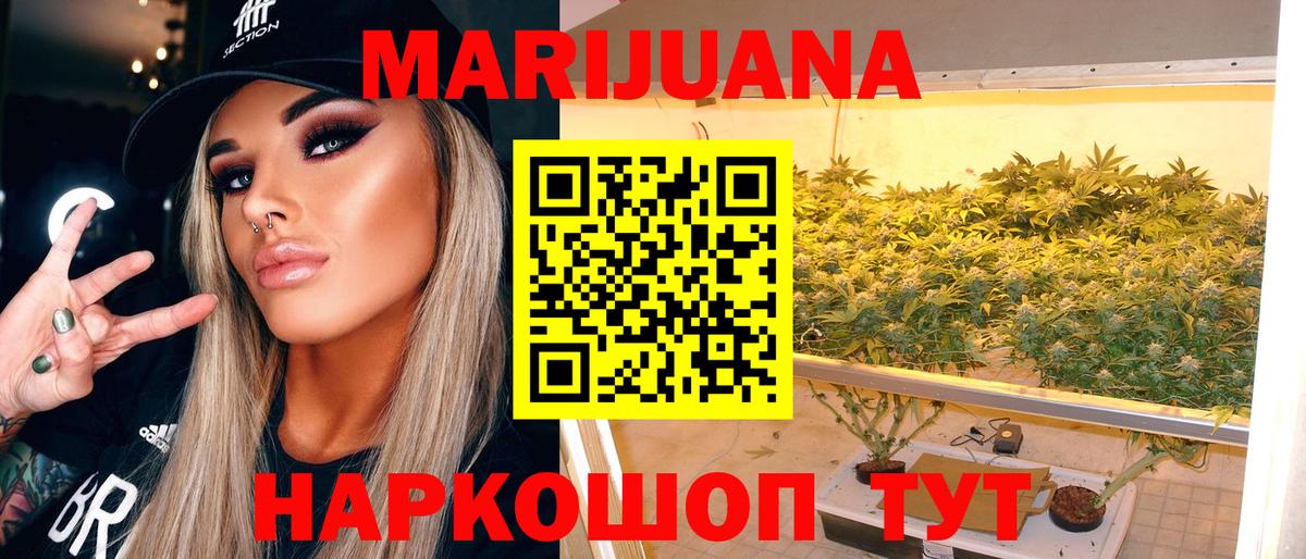 Каннабис конопля Камень-на-Оби